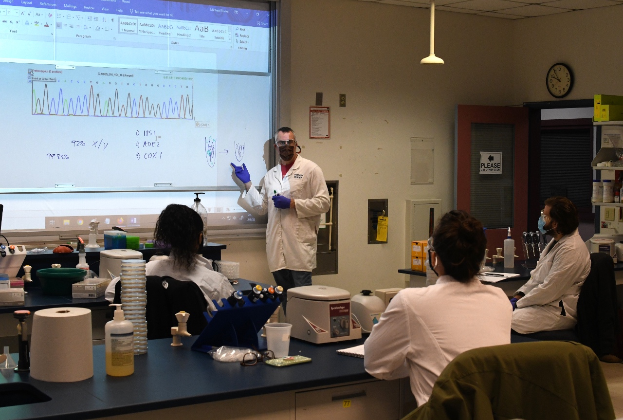 Pandemicstung Delaware colleges seek campus return DBT