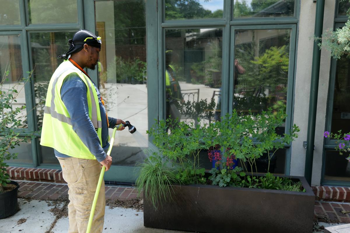 “Branches to Chances” program has helped 100 people turn a new leaf