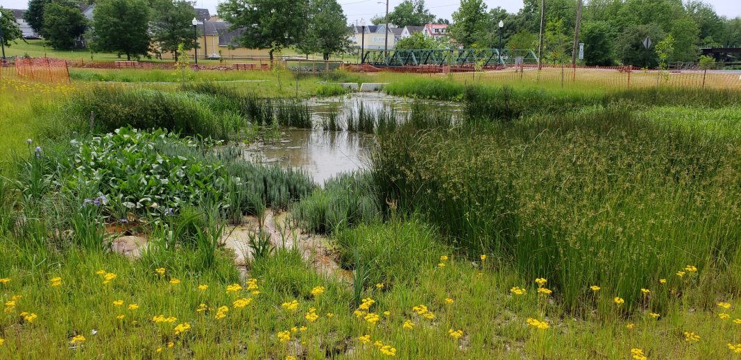 DNREC is accepting proposal applications for matching grants to support surface water project planning through August 20.